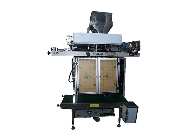 Pouch Packing Machine - Main Image